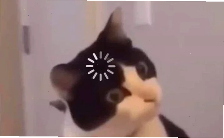 meme mèo load
