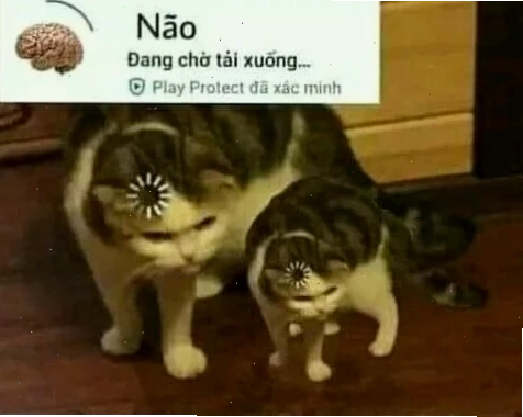 meme mèo load