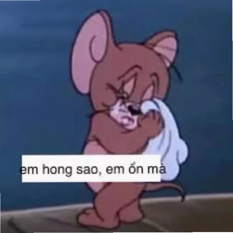 meme mèo nằm khóc đáng yêu