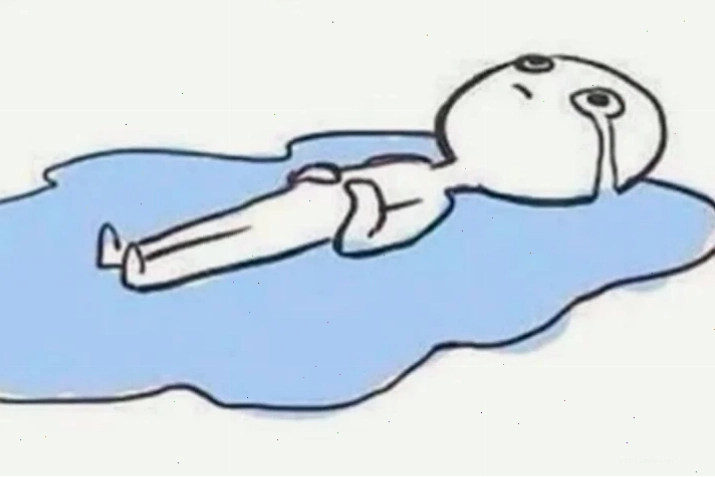 meme mèo nằm khóc hài hước