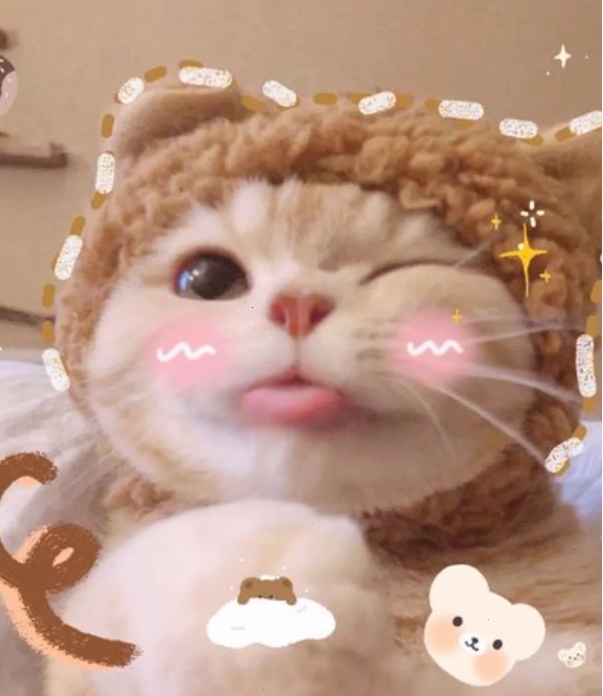 meme mèo nheo mắt chán đời