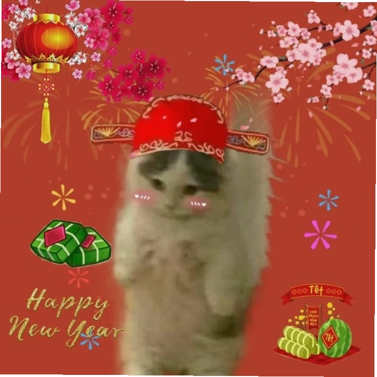 meme mèo tết 2025