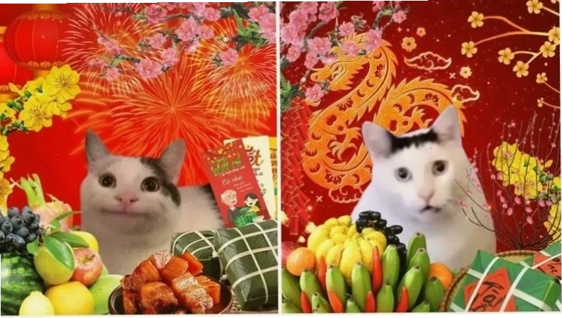 meme mèo tết 2026