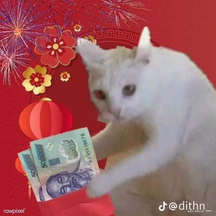 meme mèo tết 2026