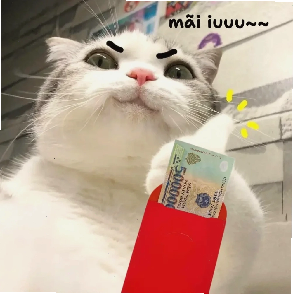 meme mèo tết cute
