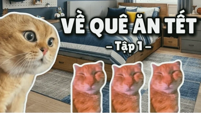 meme mèo tết cute