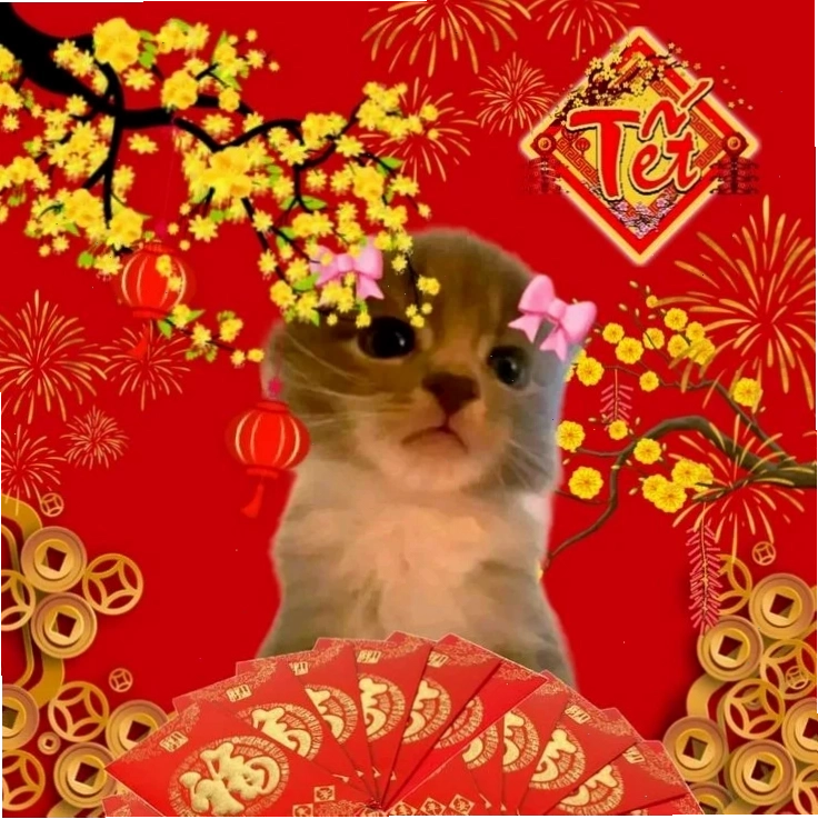 meme mèo tết độc