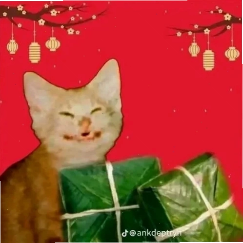meme mèo tết độc