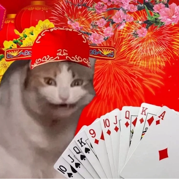 meme mèo tết độc lạ