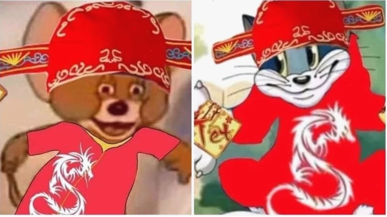 meme mèo tết hài