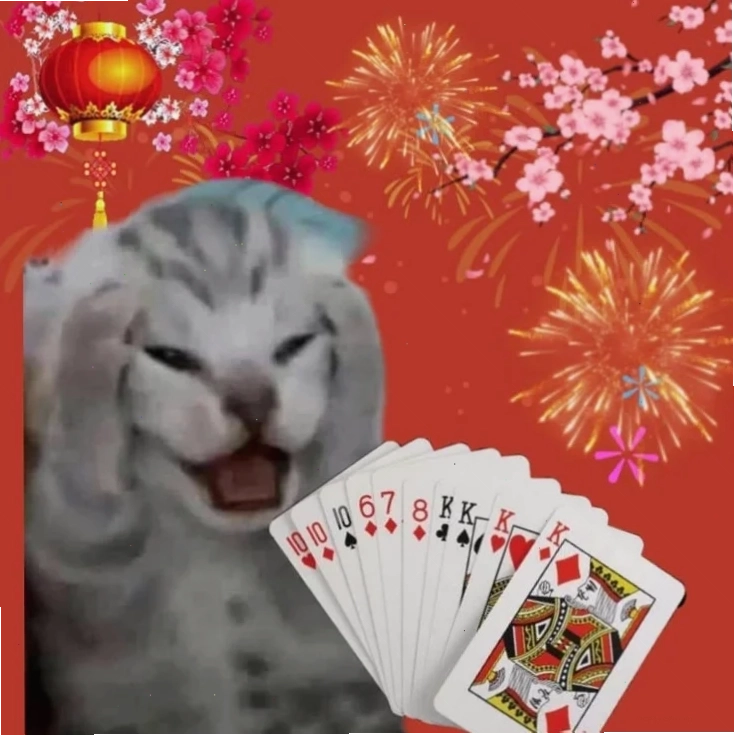 meme mèo tết hài hước