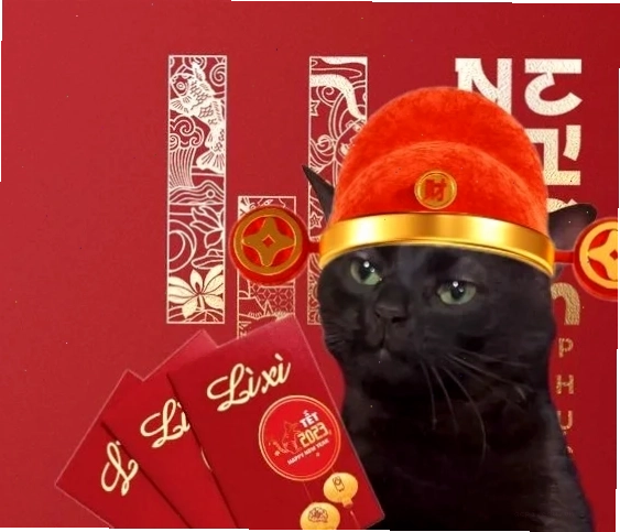 meme mèo tết siêu lầy