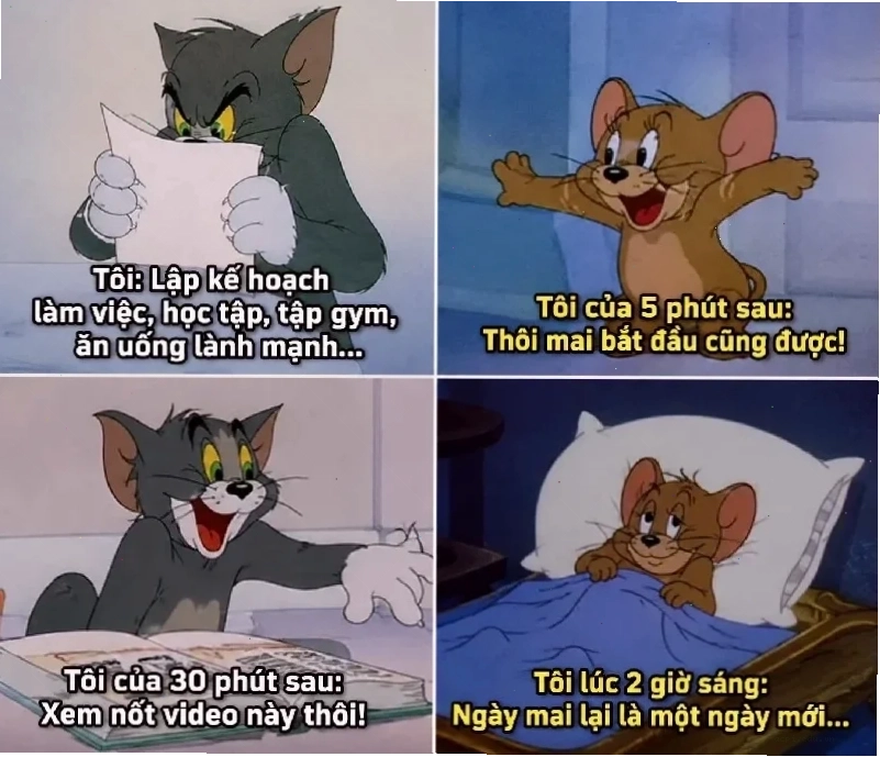 meme mèo tom bất lực