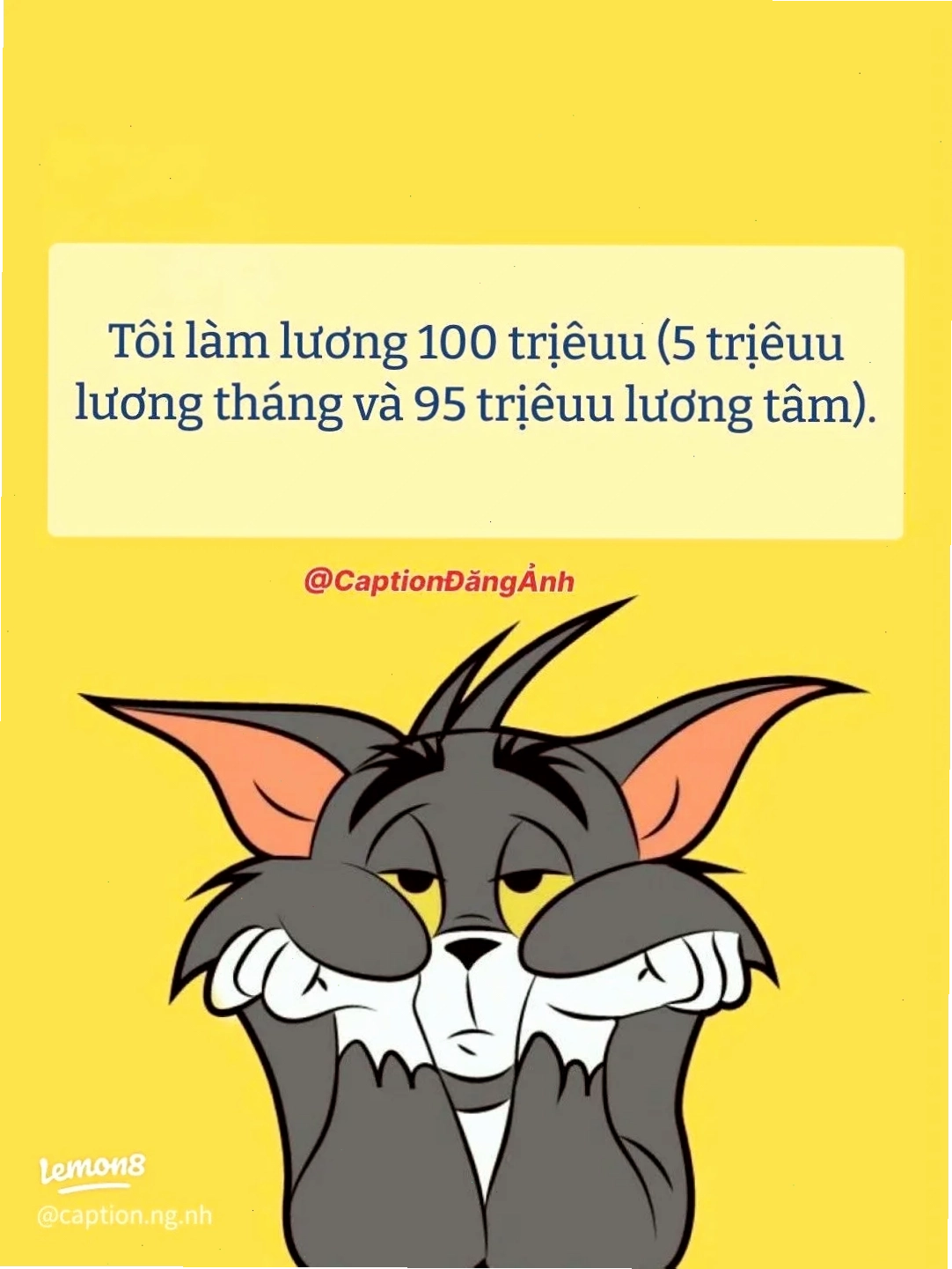 meme mèo tom bị sốc