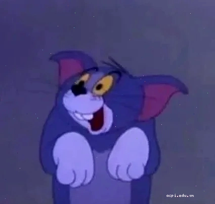 meme mèo tom cầm dao
