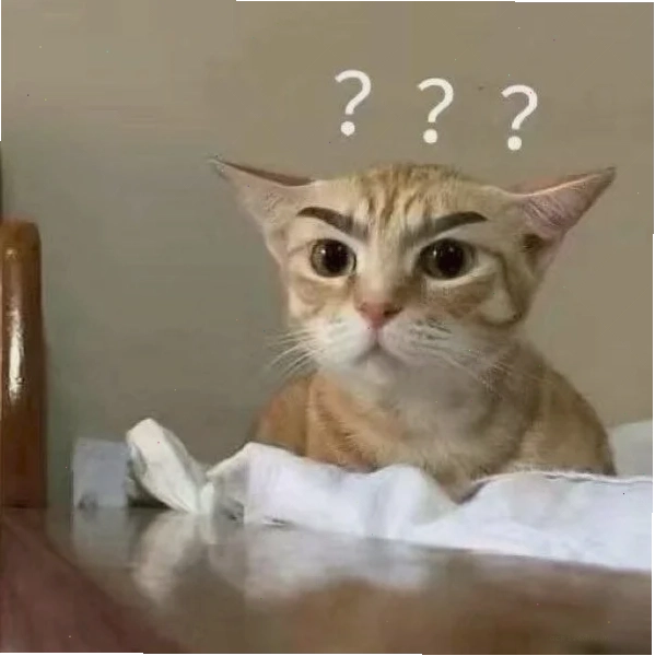 meme mèo tom chấm hỏi