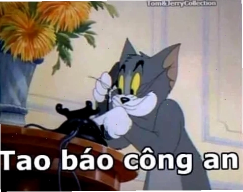 meme mèo tom cơ bắp