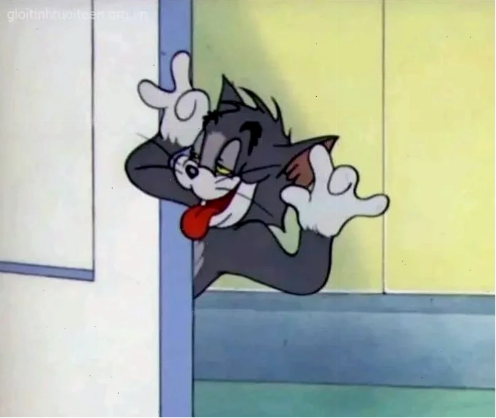 meme mèo tom cười mỉa