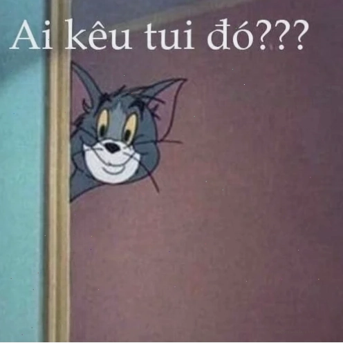meme mèo tom cười to