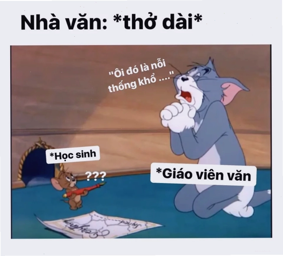 meme mèo tom đáng yêu