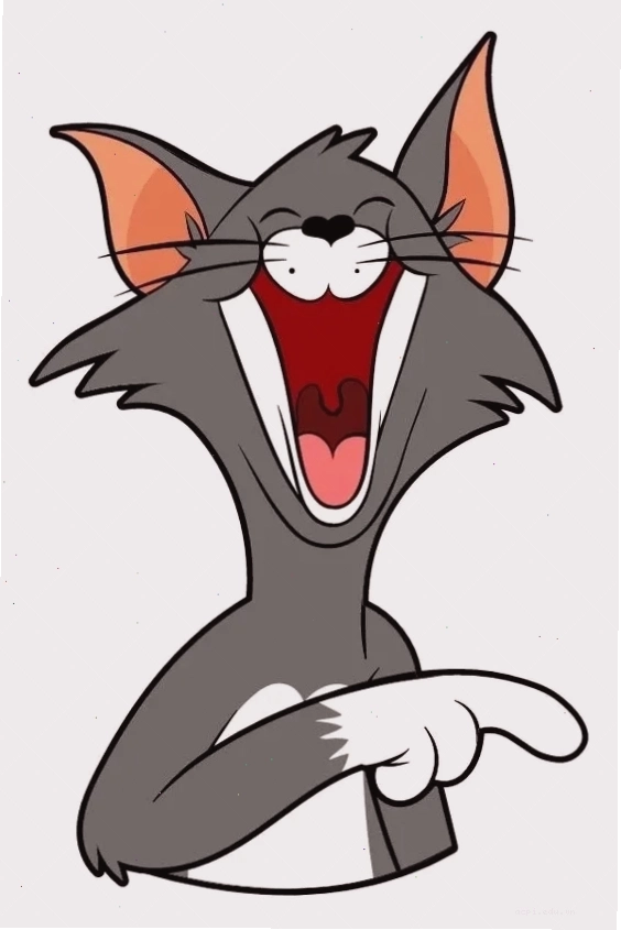 meme mèo tom đấu súng