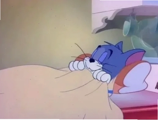 meme mèo tom đi dạo