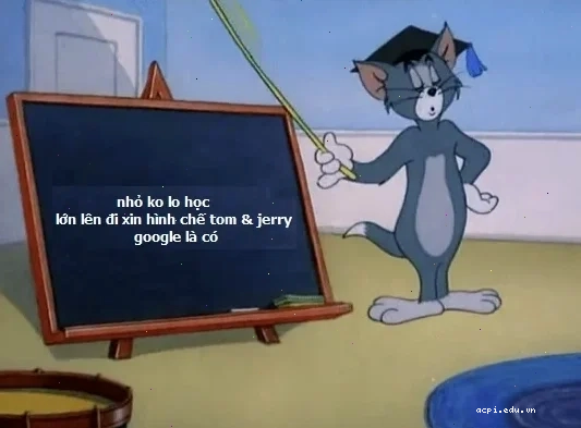 meme mèo tom điên cuồng