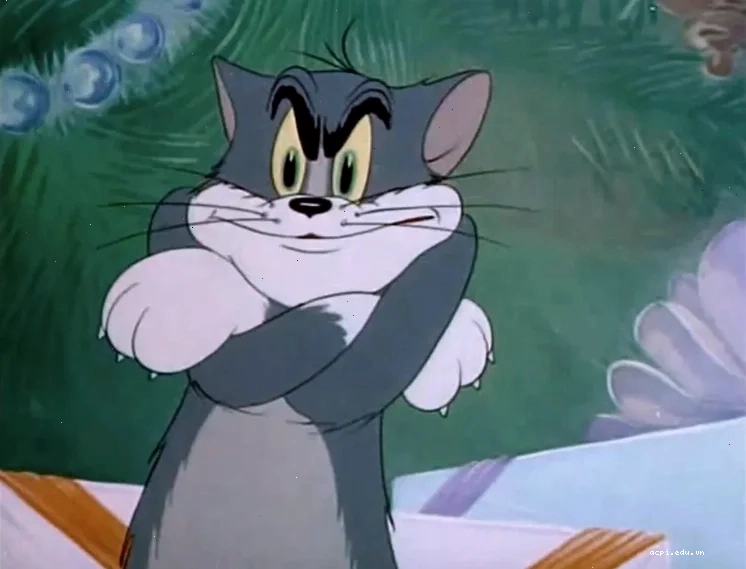 meme mèo tom đọc báo