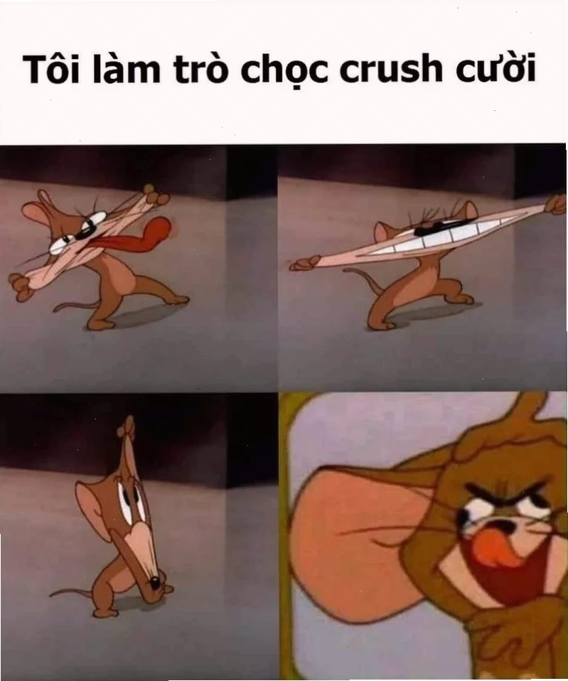 meme mèo tom đội mũ