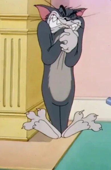 meme mèo tom khó hiểu