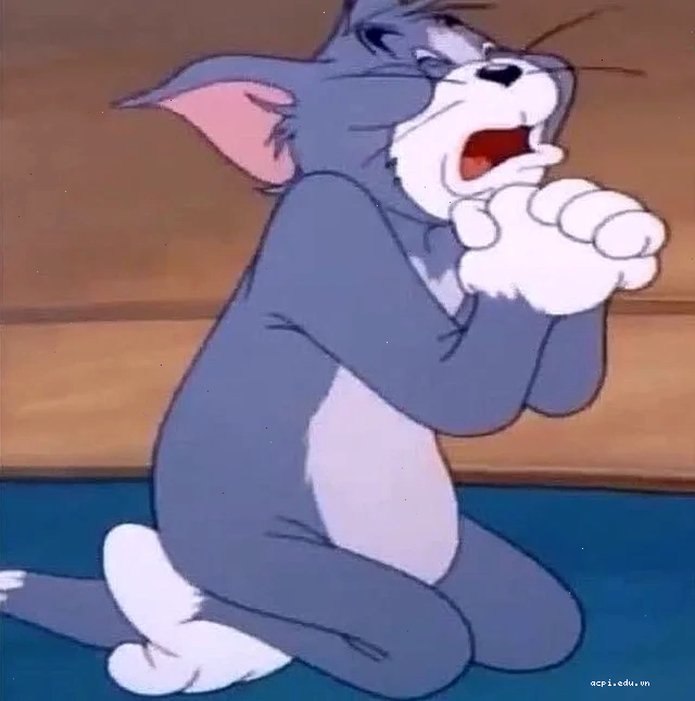 meme mèo tom mở cửa