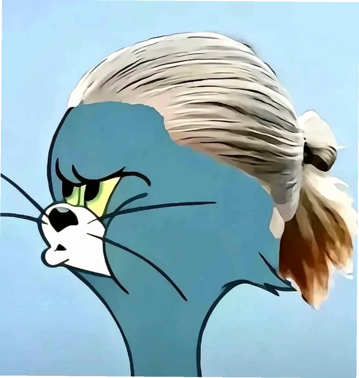 meme mèo tom nấu ăn