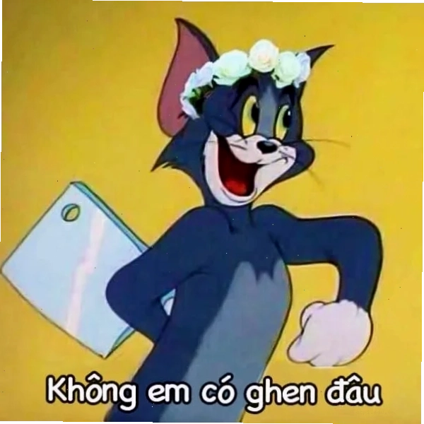 meme mèo tom ngầu