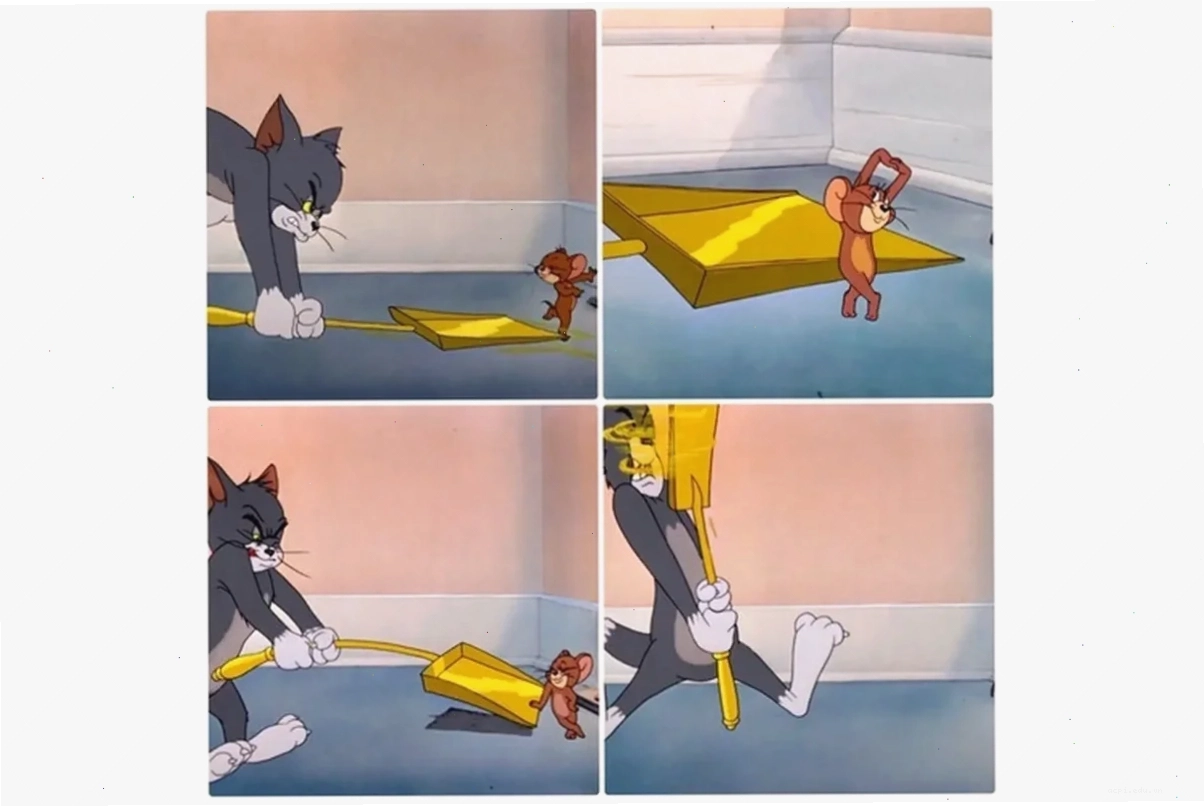 meme mèo tom sang chảnh