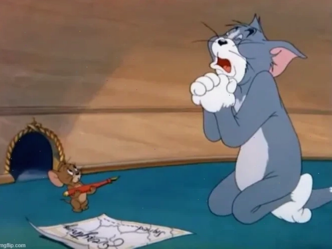 meme mèo tom sốc