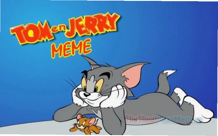 meme mèo tom thất vọng