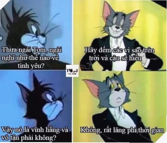meme mèo tom tức điên