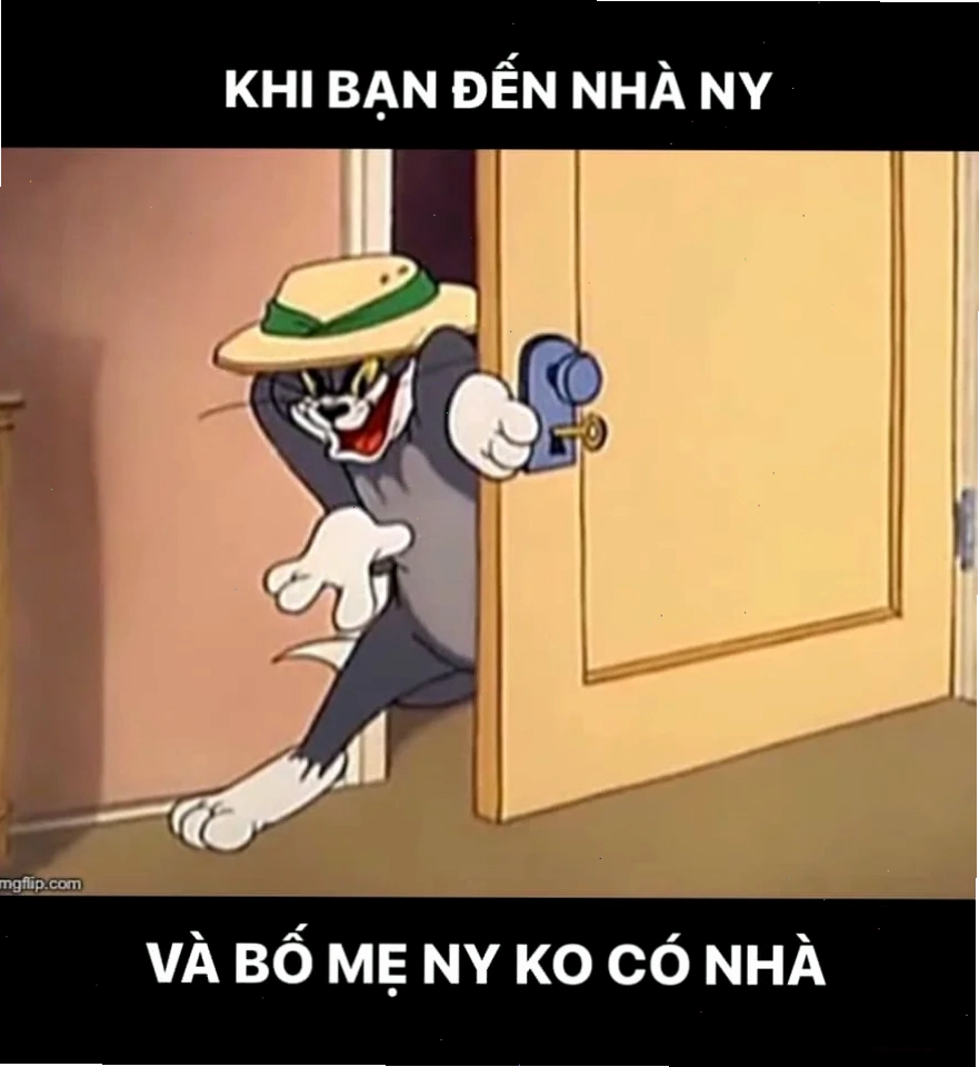meme mèo tom tức giận