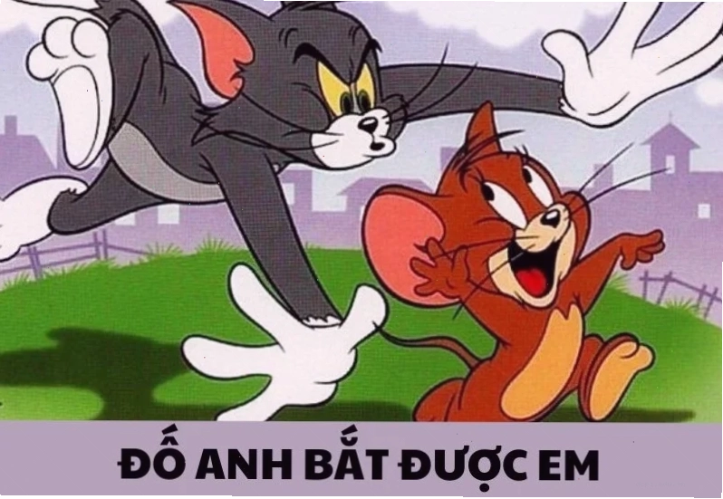 meme mèo tom vui mừng