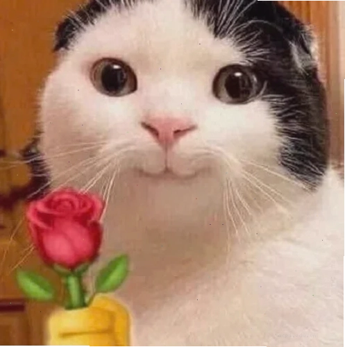 meme mèo trung quốc cười