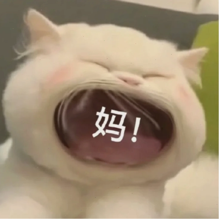 meme mèo trung quốc lầy lội