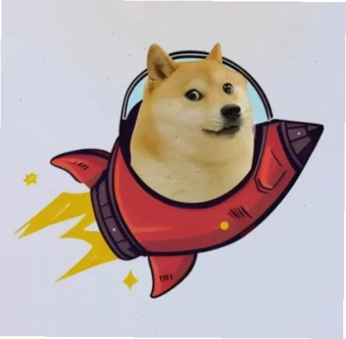 meme mèo trung quốc lười