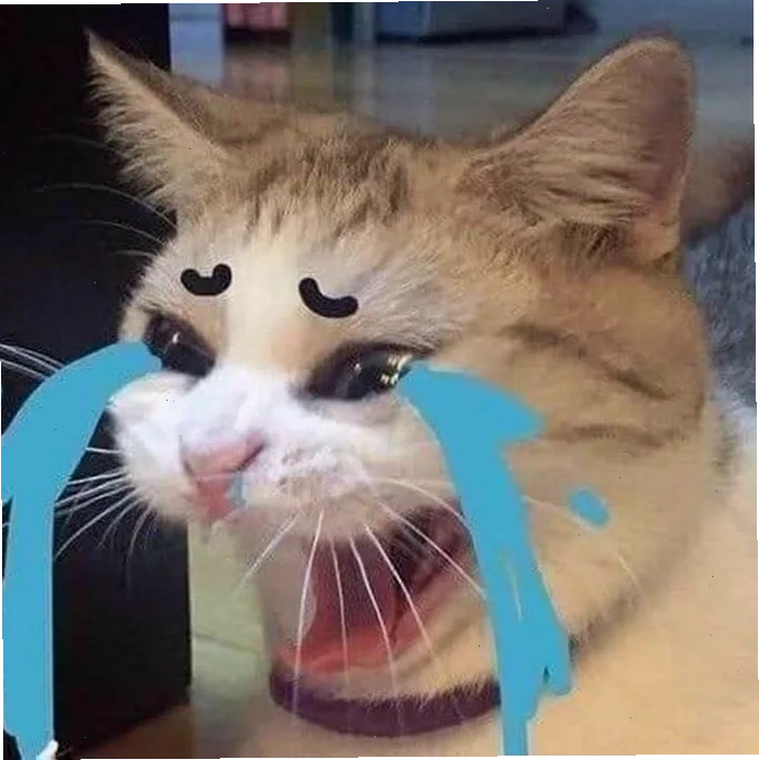meme mèo trung quốc nhảy