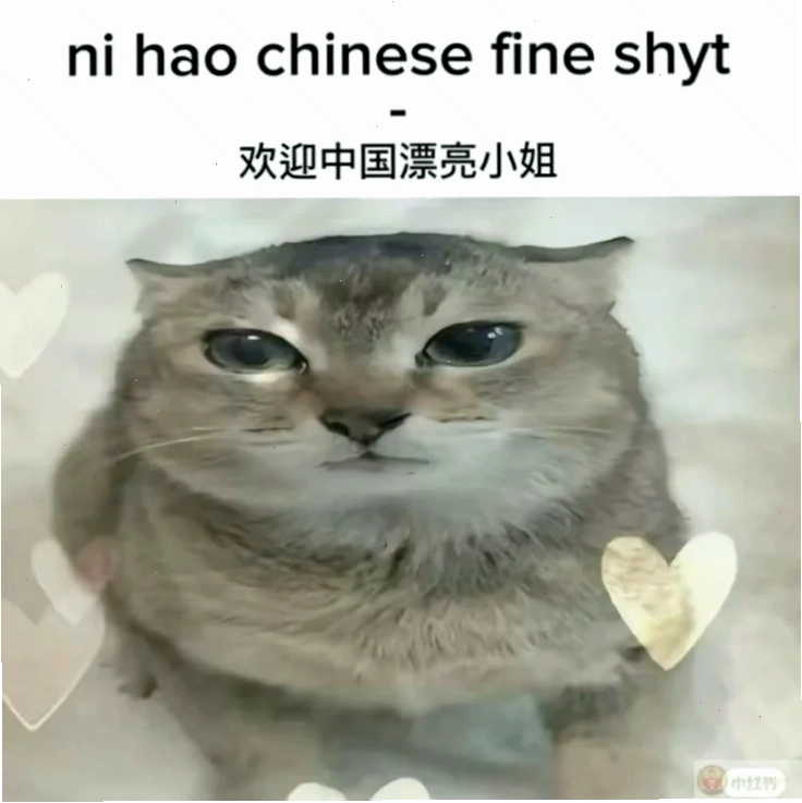 meme mèo trung quốc suy tư