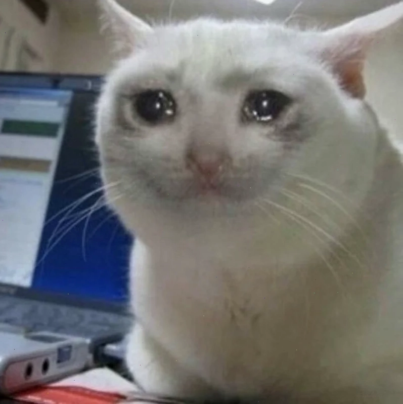 meme mếu cảm xúc