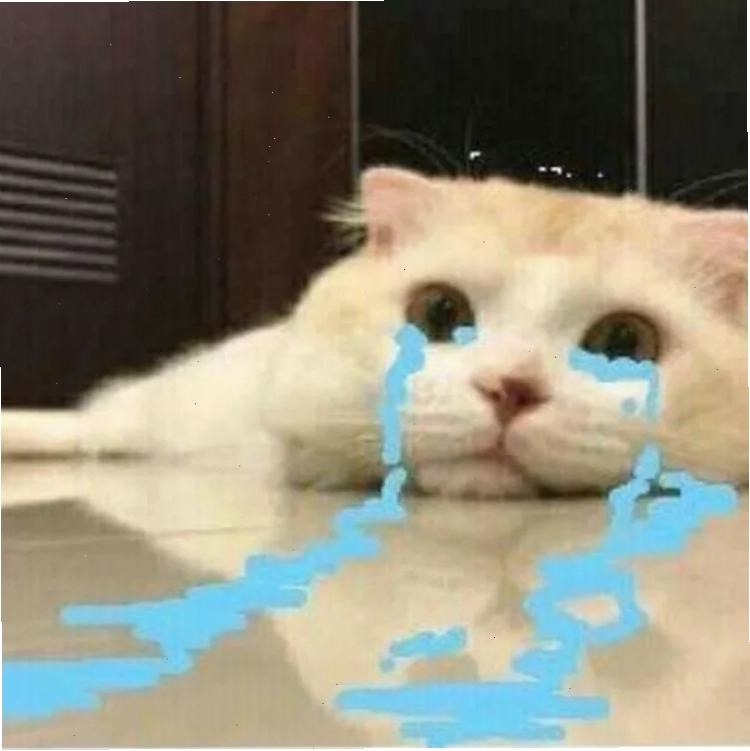 meme mếu độc lạ