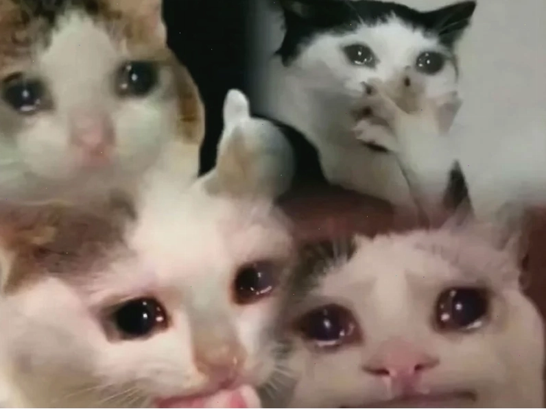 meme mếu đời