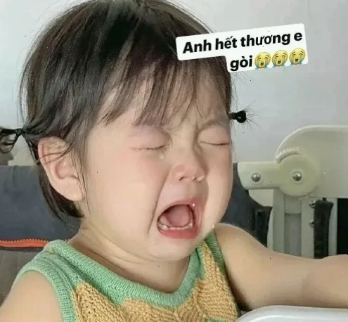 meme mếu hài hước