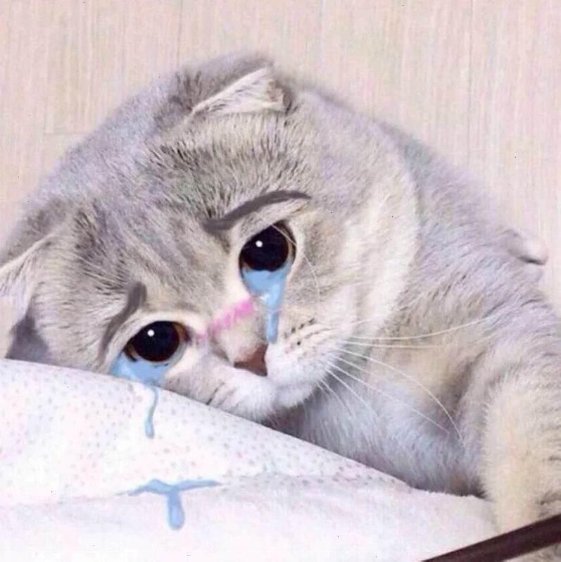 meme mếu lạ