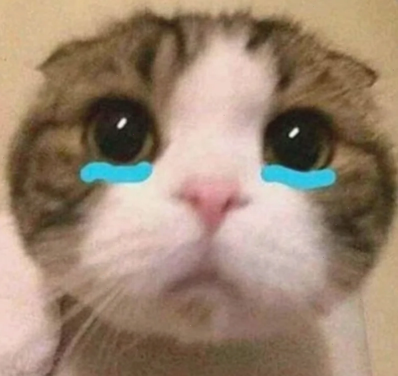 meme mếu máo